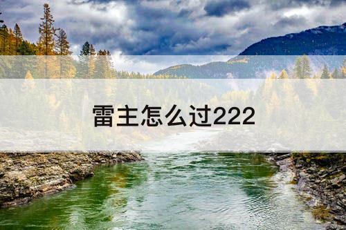 雷主怎么过222