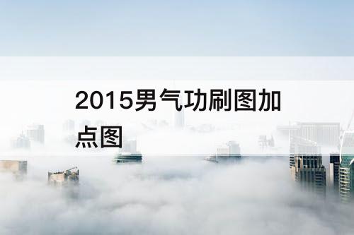 2015男气功刷图加点图