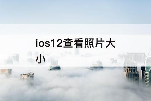 ios12查看照片大小