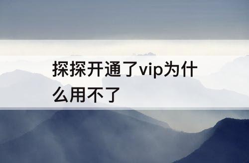 探探开通了vip为什么用不了