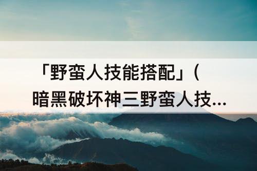 「野蛮人技能搭配」(暗黑破坏神三野蛮人技能搭配)