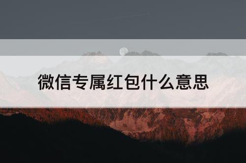 微信专属红包什么意思