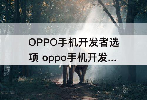 OPPO手机开发者选项 oppo手机开发者选项打开有风险没