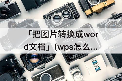 「把图片转换成word文档」(wps怎么把图片转换成word文档格式)