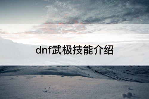 dnf武极技能介绍