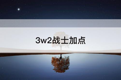 3w2战士加点