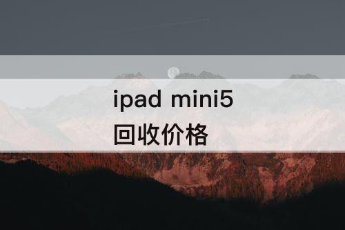 ipad mini5回收价格