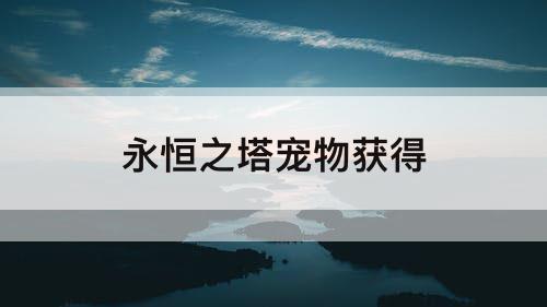 永恒之塔宠物获得