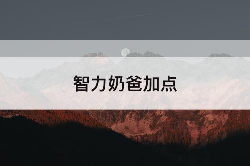 智力奶爸加点