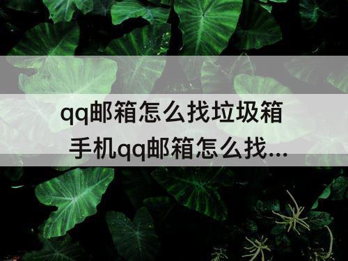 qq邮箱怎么找垃圾箱 手机qq邮箱怎么找垃圾箱