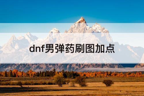 dnf男弹药刷图加点