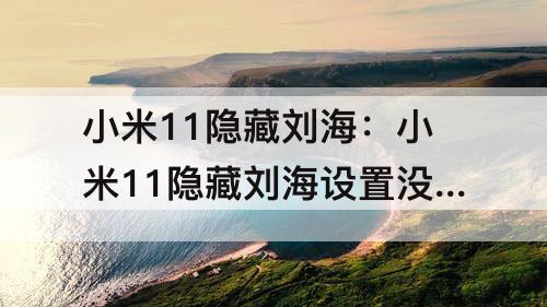 小米11隐藏刘海：小米11隐藏刘海设置没了