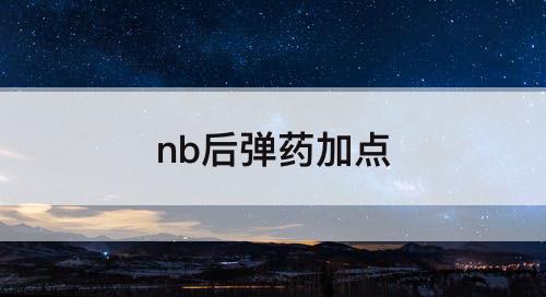 nb后弹药加点