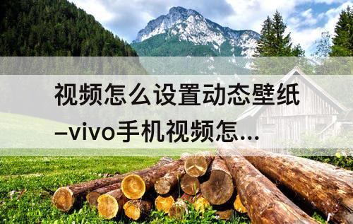 视频怎么设置动态壁纸-vivo手机视频怎么设置动态壁纸