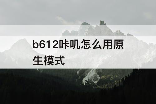 b612咔叽怎么用原生模式