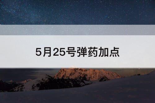 5月25号弹药加点