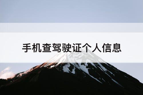 手机查驾驶证个人信息