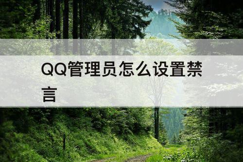 QQ管理员怎么设置禁言