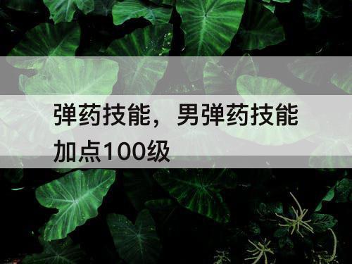 弹药技能，男弹药技能加点100级