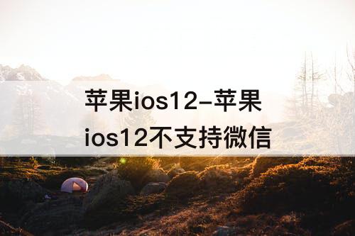 苹果ios12-苹果ios12不支持微信