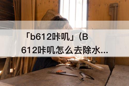 「b612咔叽」(B612咔叽怎么去除水印)