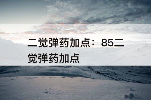 二觉弹药加点：85二觉弹药加点