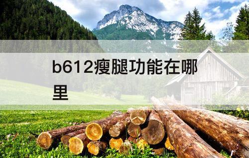 b612瘦腿功能在哪里