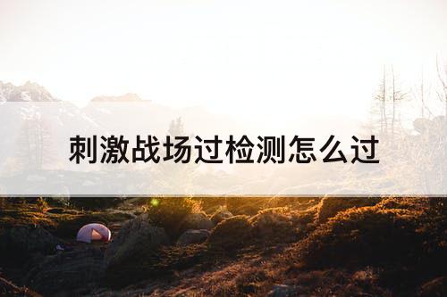 刺激战场过检测怎么过