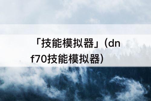 「技能模拟器」(dnf70技能模拟器)