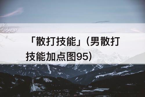 「散打技能」(男散打技能加点图95)