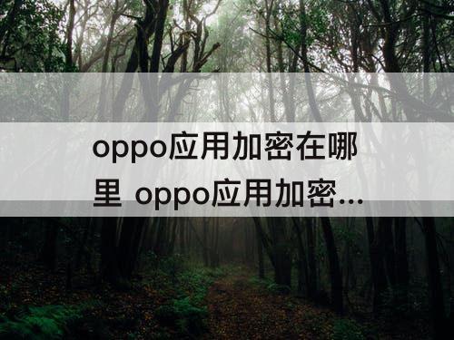 oppo应用加密在哪里 oppo应用加密在哪里找?