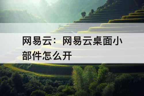 网易云：网易云桌面小部件怎么开