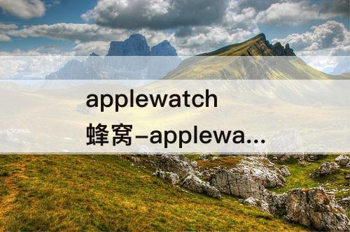 applewatch蜂窝-applewatch蜂窝重新绑定