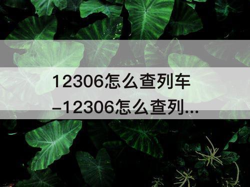 12306怎么查列车-12306怎么查列车停运没