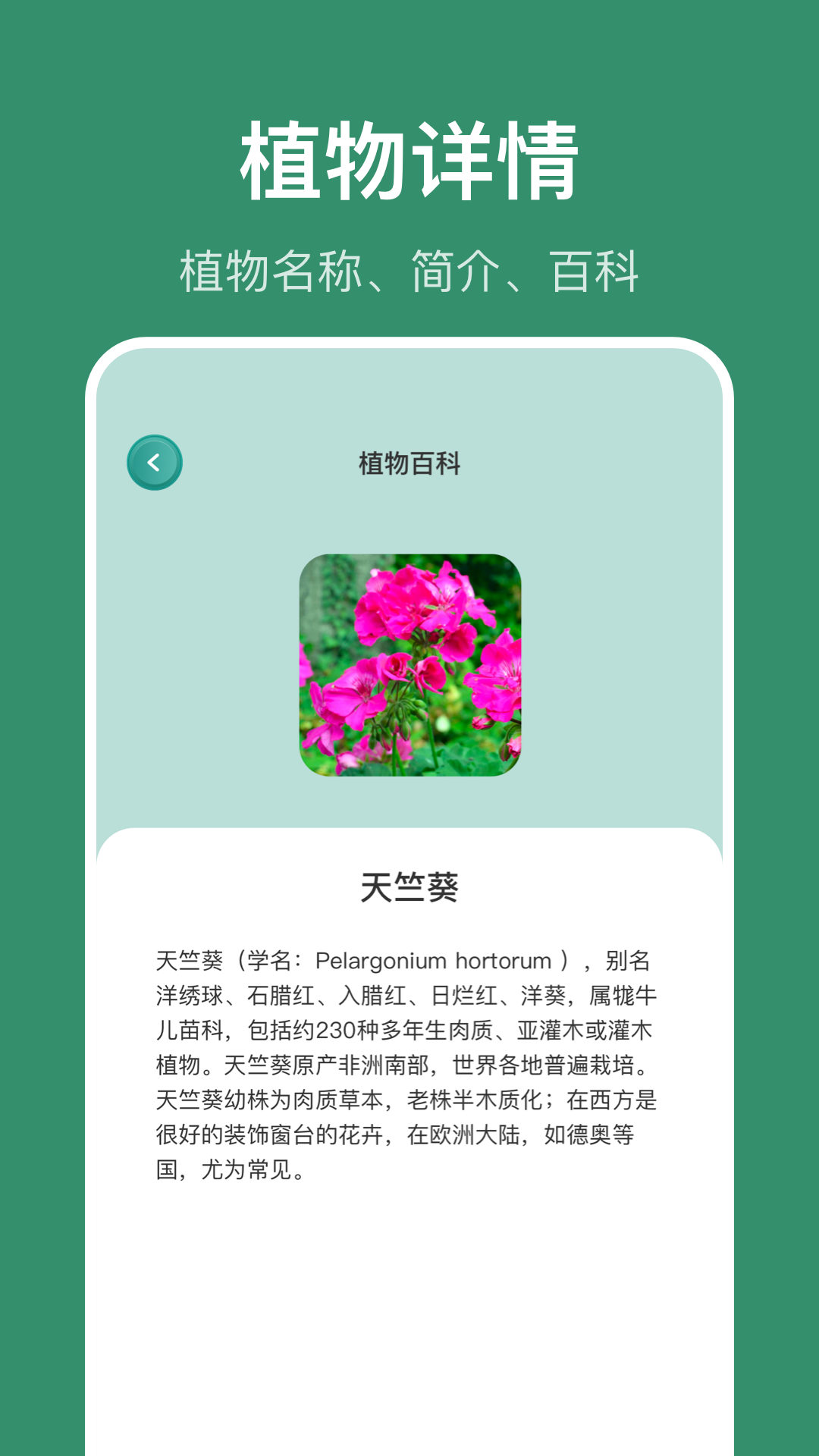 花仙识花草  v1.1图1