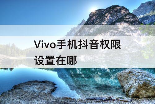 Vivo手机抖音权限设置在哪