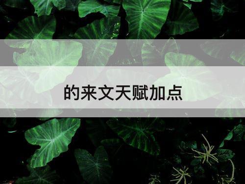 的来文天赋加点