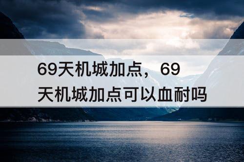 69天机城加点，69天机城加点可以血耐吗