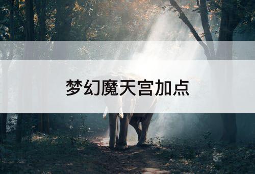 梦幻魔天宫加点