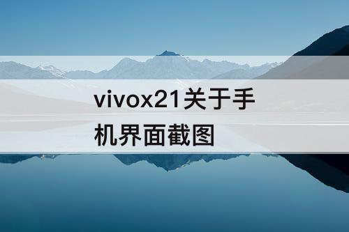 vivox21关于手机界面截图