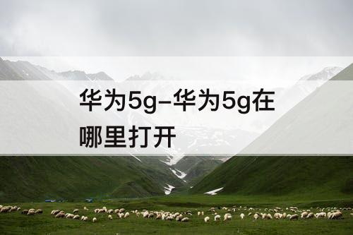 华为5g-华为5g在哪里打开