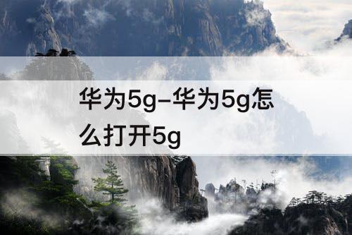 华为5g-华为5g怎么打开5g