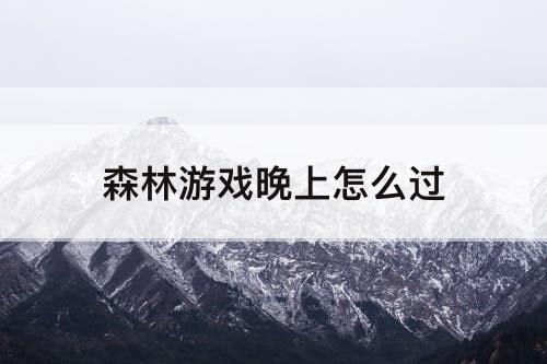 森林游戏晚上怎么过