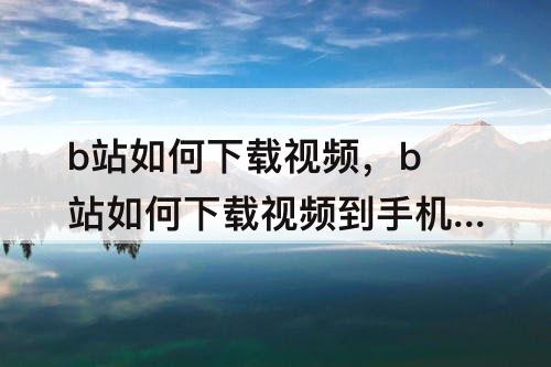 b站如何下载视频，b站如何下载视频到手机上