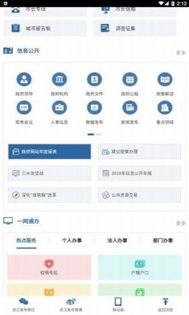 武汉市人民政府  v0.0.1图3