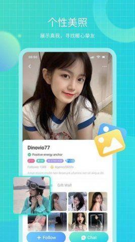 dino  v2.5.0图3