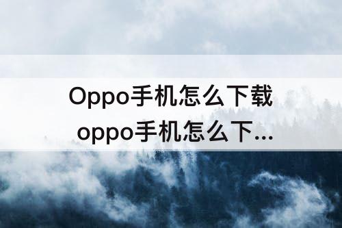 Oppo手机怎么下载 oppo手机怎么下载输入法