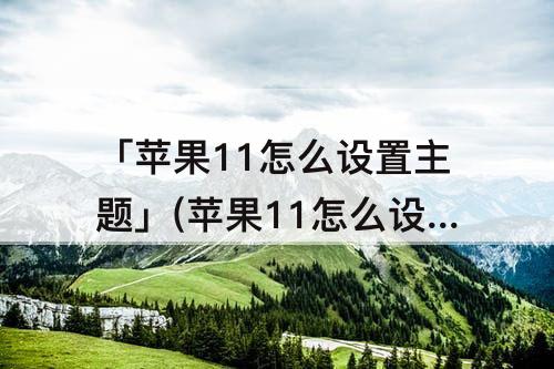 「苹果11怎么设置主题」(苹果11怎么设置主题和字体带拼音)