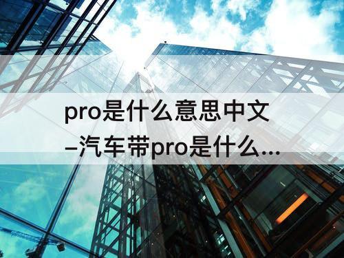 pro是什么意思中文-汽车带pro是什么意思中文