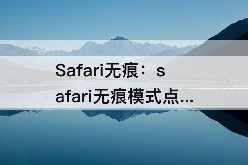 Safari无痕：safari无痕模式点不了